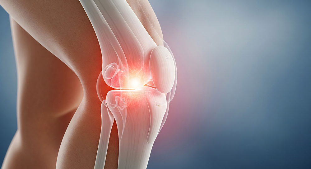 Knee excruciating pain